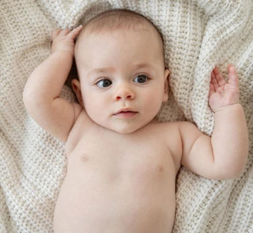 AdobeStock_326603409_1e8699e5-11f7-4edf-885a-b9e9c2e9e14a - Mustela Multi-market - 1