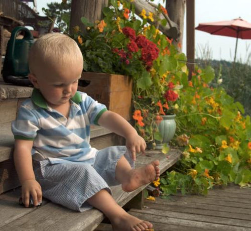 NADRAŽENA PODRUČJA - Mustela Multi-market - 1