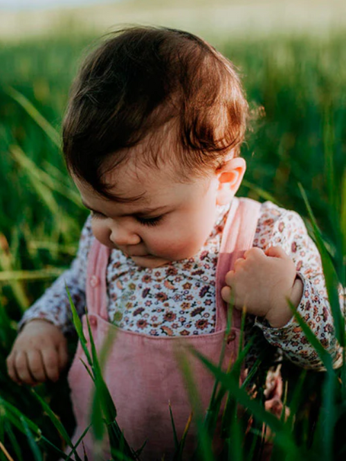 Mustela Multi-market - Mustela Multi-market - 1